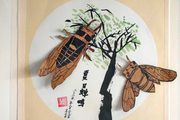 美术作品夏日蝉鸣